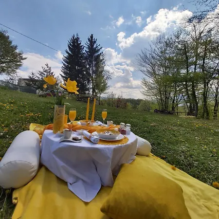 Bloom Sarajevo