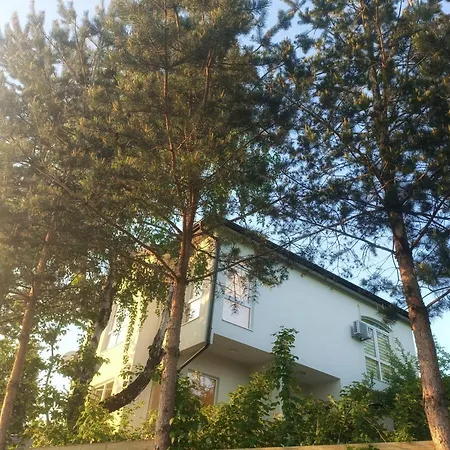 Bloom * Sarajevo