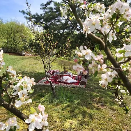 Bloom Villa