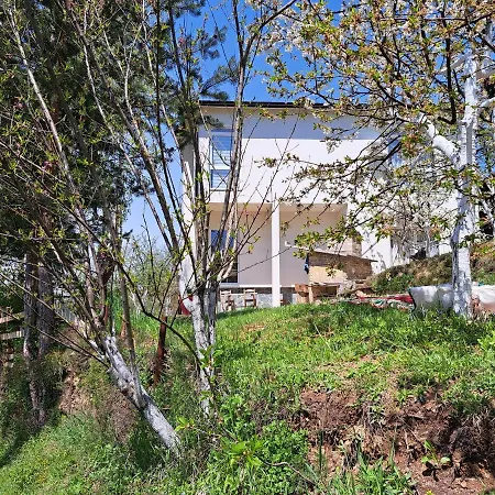 Bloom Villa *