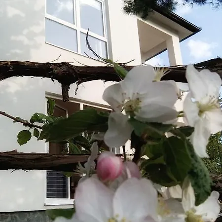 Villa Bloom