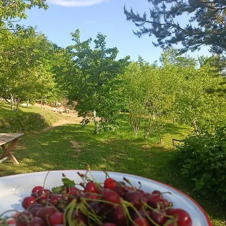 Villa Bloom Sarajevo