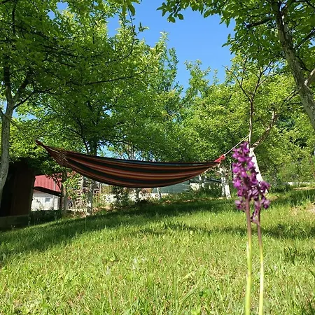 Villa Bloom Sarajevo